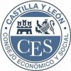 Aspace Castilla y León se integra en el Grupo de Enlace del CESCYL